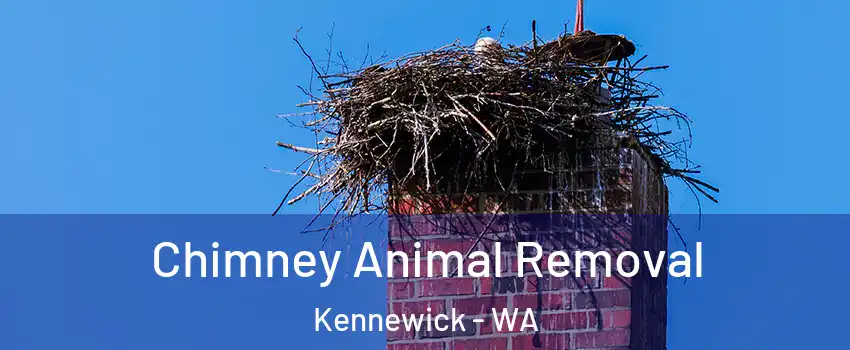  Chimney Animal Removal Kennewick - WA