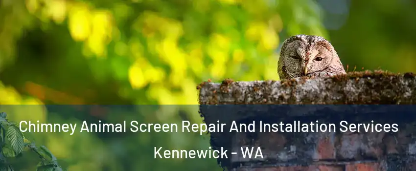  Chimney Animal Screen Repair And Installation Services Kennewick - WA
