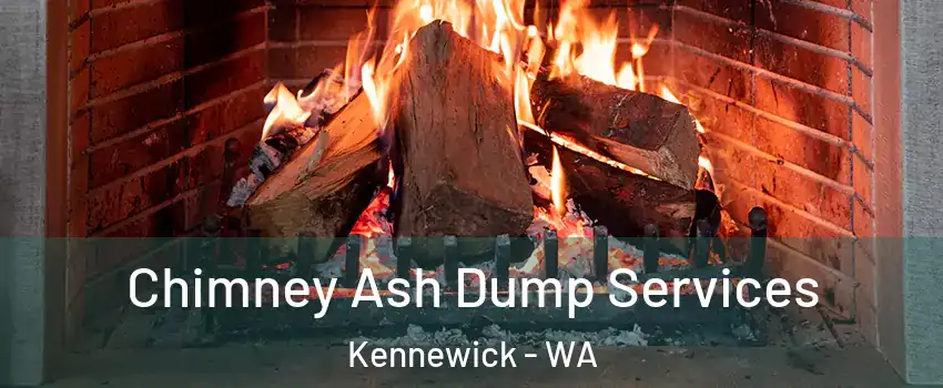  Chimney Ash Dump Services Kennewick - WA