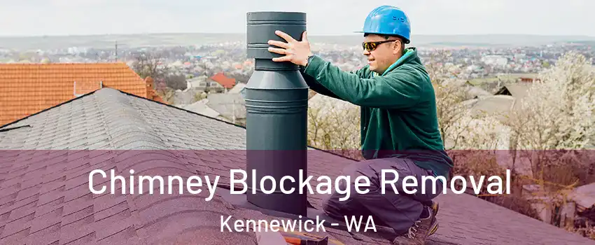  Chimney Blockage Removal Kennewick - WA