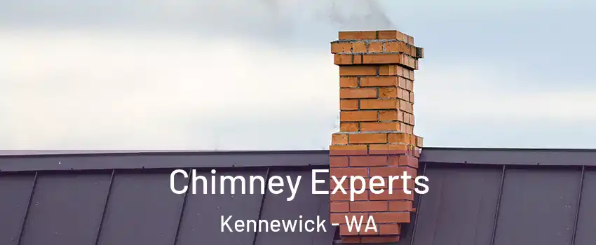  Chimney Experts Kennewick - WA