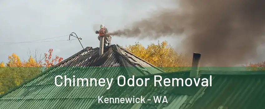  Chimney Odor Removal Kennewick - WA