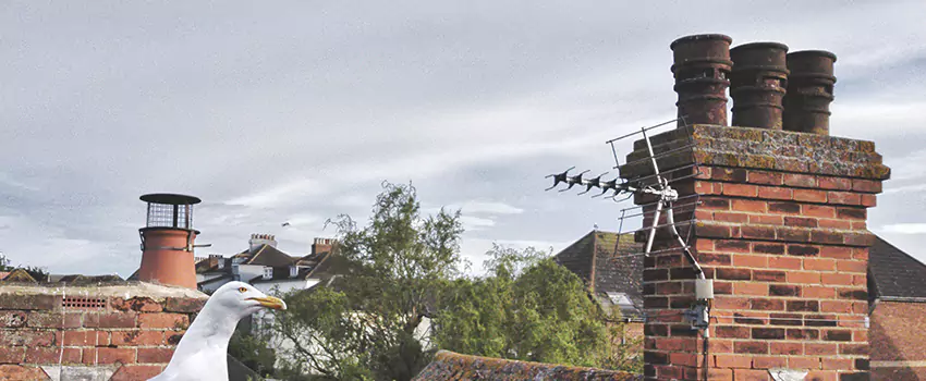 Chimney Cleaning And Restoration in Kennewick, Washington