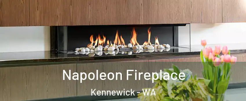  Napoleon Fireplace Kennewick - WA